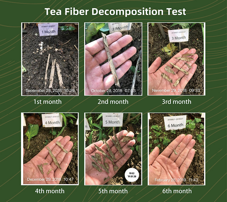 Technology Buletedan