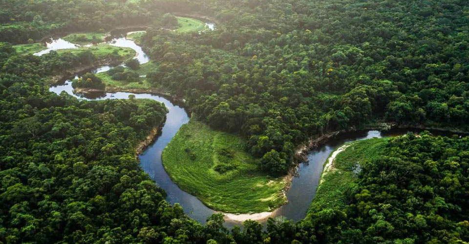 Technology Buletedan