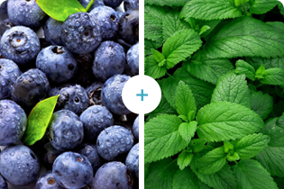 Technology Buletedan