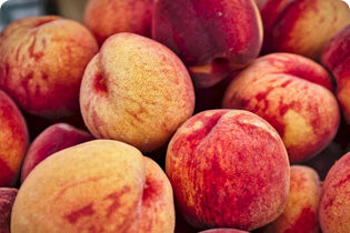 Technology Buletedan