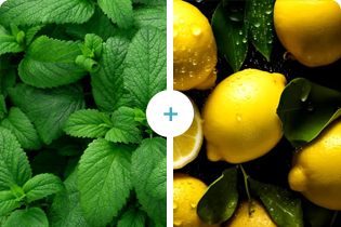 Technology Buletedan