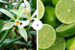 Technology Buletedan