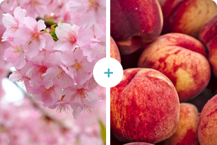 Technology Buletedan