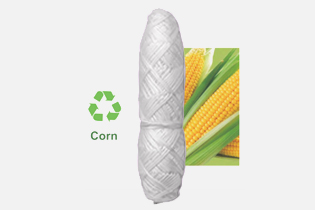 Technology Buletedan