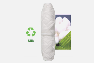 Technology Buletedan